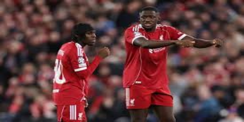 填补亚历山大-阿诺德：弗林蓬的右路革命-AG百家乐