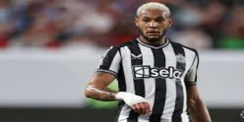 霍芬海姆锋霸空降圣詹姆斯：AG百家乐视角下的“英超赌注”-AG百家乐