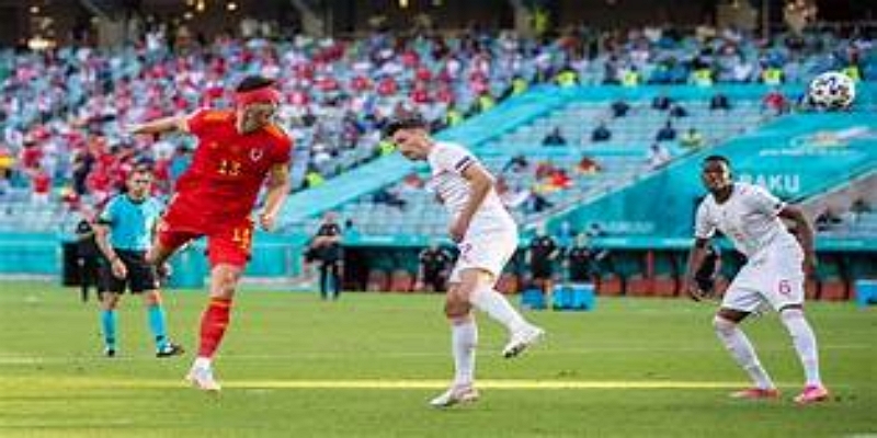 体育界的积极响应与社会影响 -AG百家乐