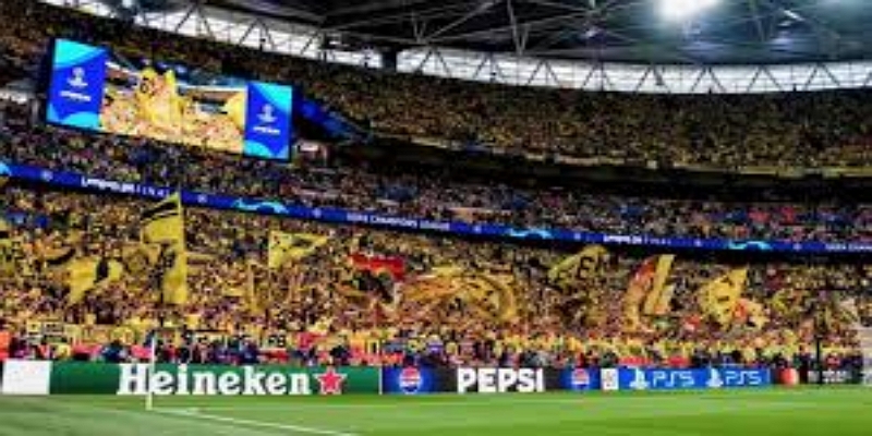 对包容性宣传活动的影响 -AG百家乐